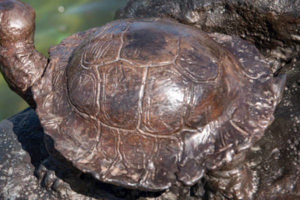 201603241517218490_thumb